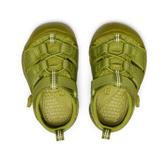 Toddlers' Newport H2 Golden Cypress Monochrome / Keen Online