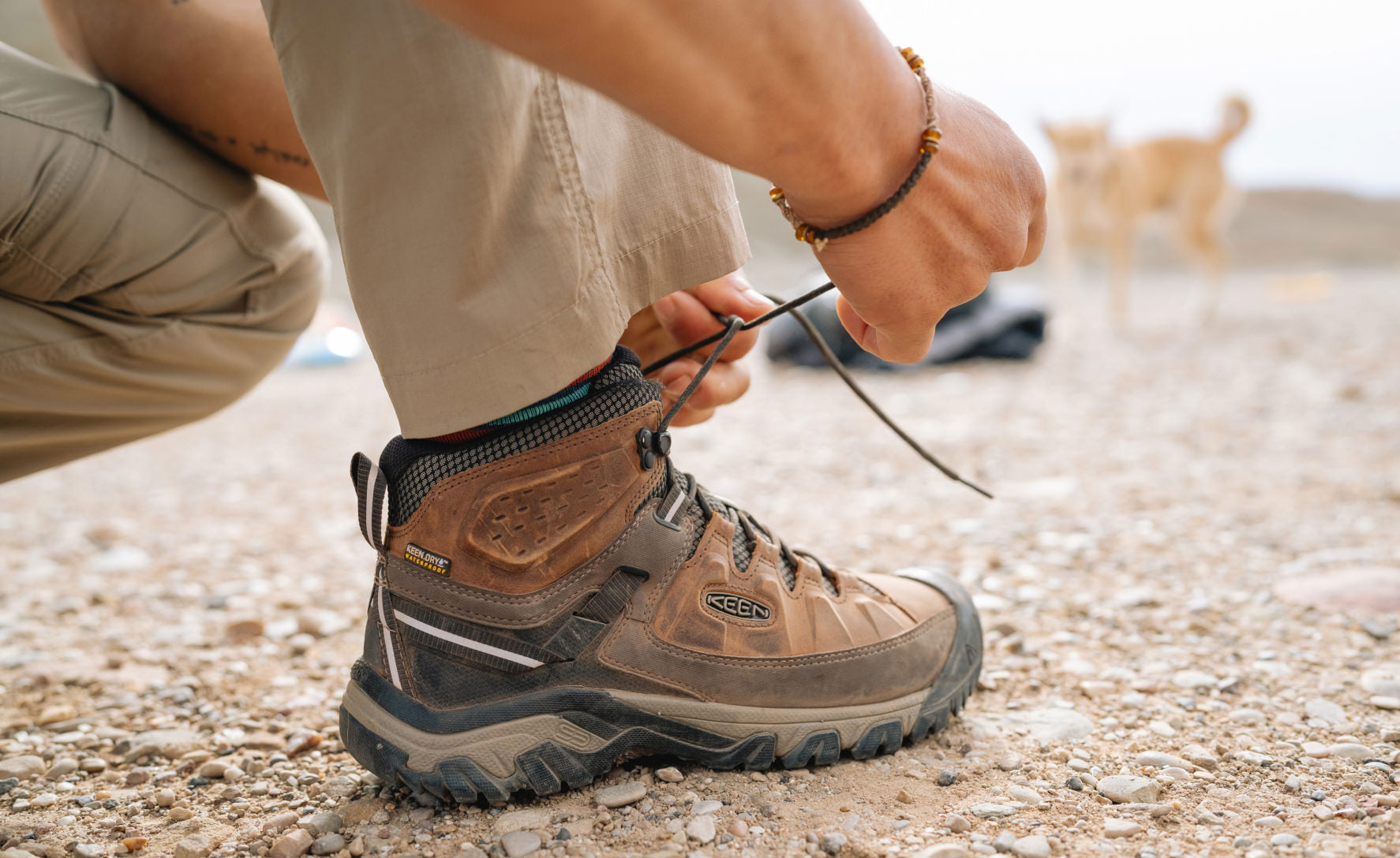 Men's Targhee III Waterproof Mid Bungee Cord/Black / Keen Sale