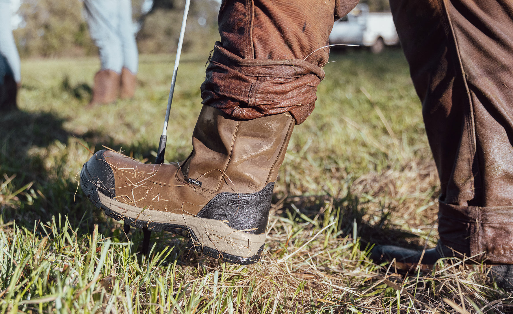 Men's Evanston Pull-On Waterproof Boot (Soft Toe) Bison/Black / Keen For sale