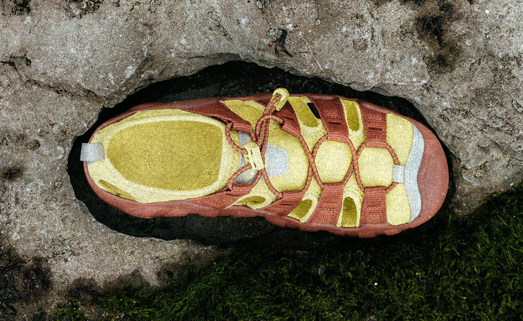 Women's Hyperport H2 Sandal x Hiking Patrol Algae Green | Keen Discount