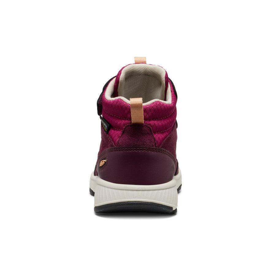 Little Kids' Skua Waterproof Boot Fig/Peach Fuzz / Keen Online