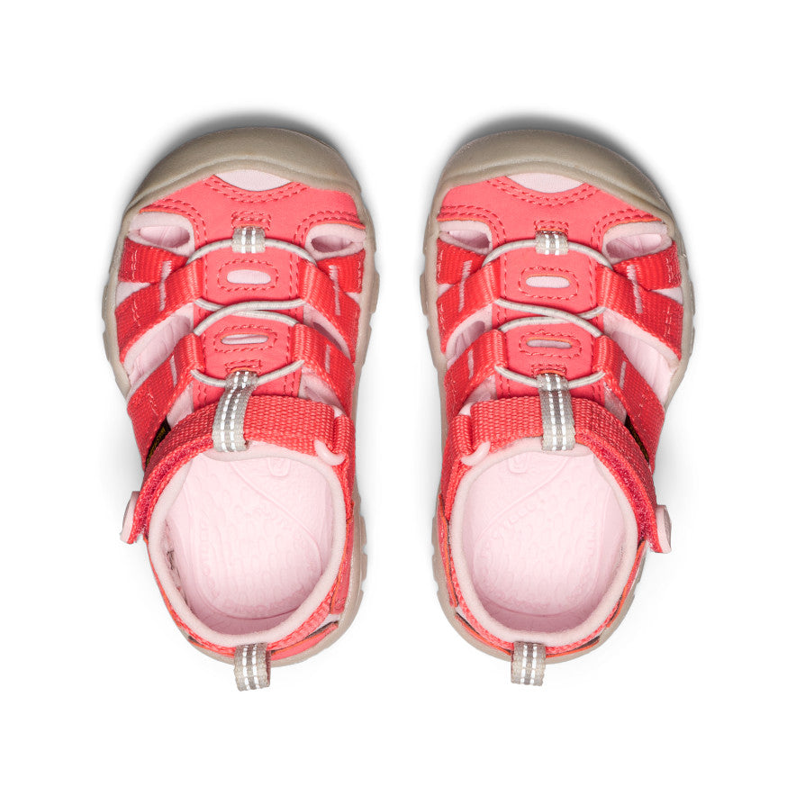 Toddlers' Seacamp II CNX Dubarry/Giggle Pink / Keen Sale